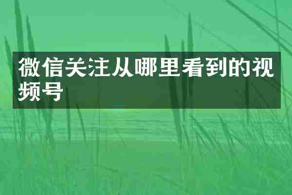 微信关注从哪里看到的视频号