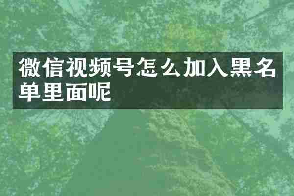 微信视频号怎么加入黑名单里面呢