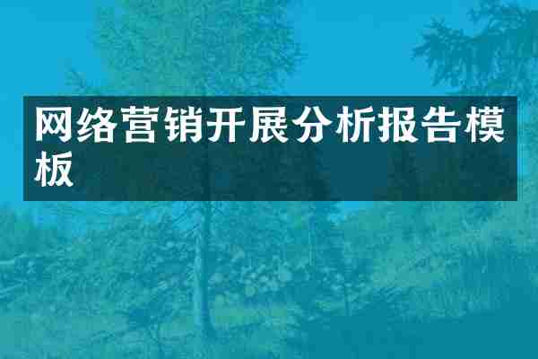 网络营销开展分析报告模板