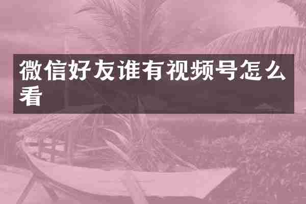微信好友谁有视频号怎么看