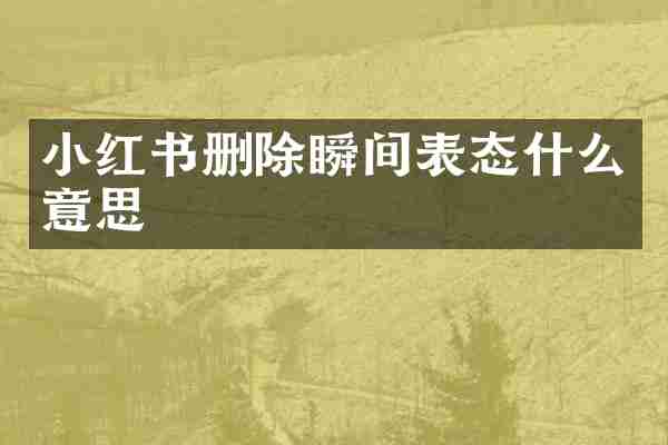 小红书删除瞬间表态什么意思