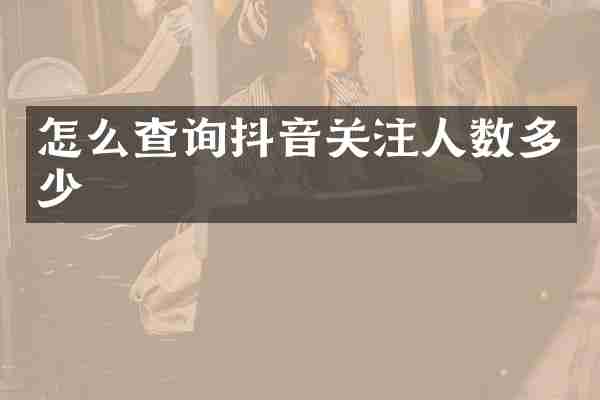 怎么查询抖音关注人数多少