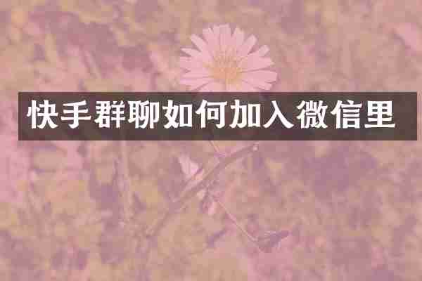 快手群聊如何加入微信里