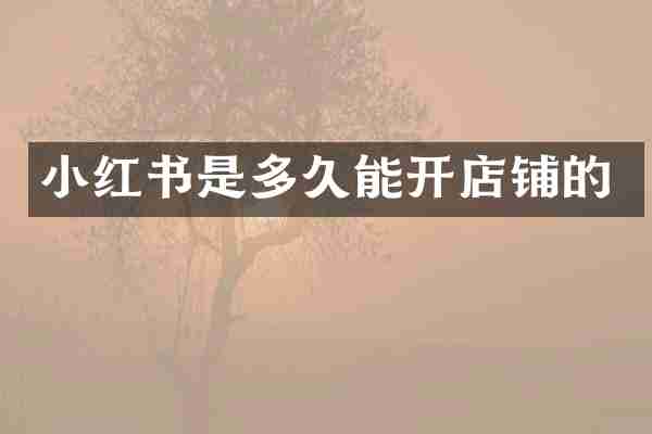 小红书是多久能开店铺的