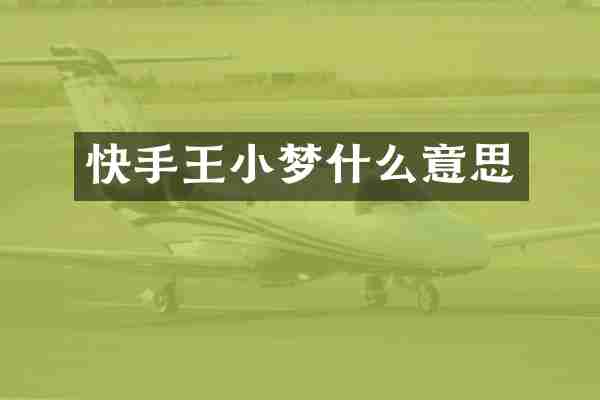 快手王小梦什么意思