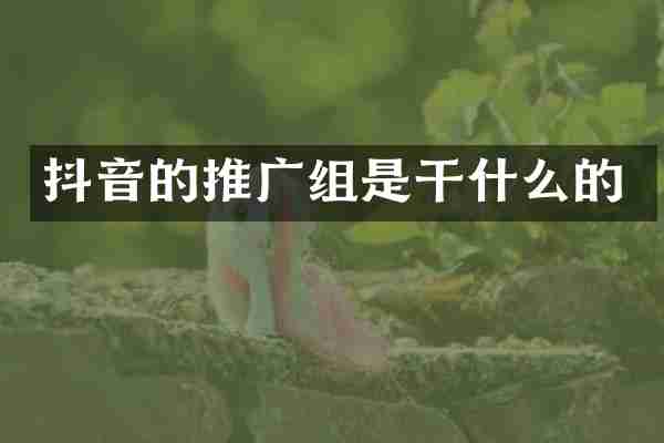 抖音的推广组是干什么的