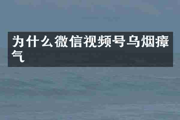 为什么微信视频号乌烟瘴气