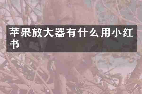 苹果放大器有什么用小红书