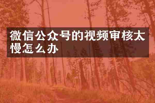 微信公众号的视频审核太慢怎么办