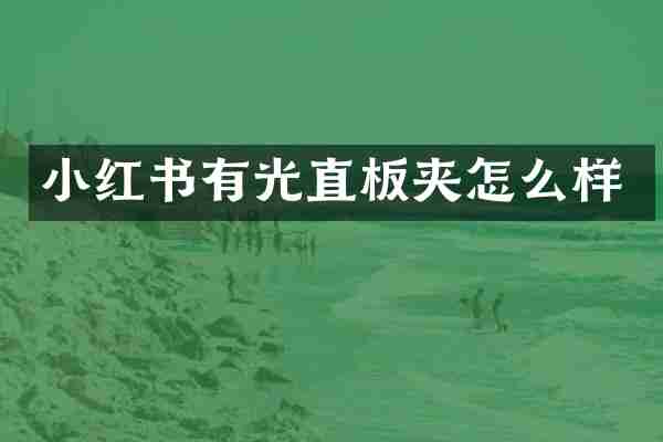 小红书有光直板夹怎么样