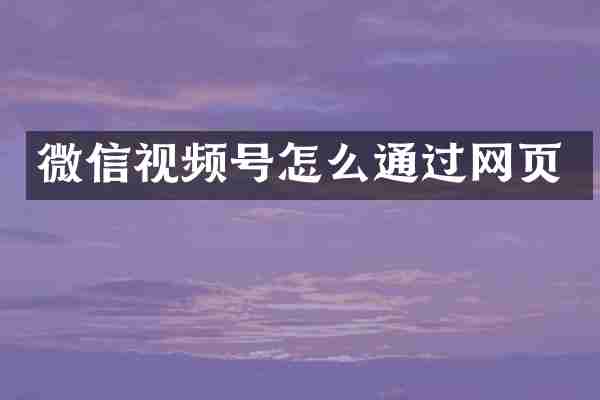 微信视频号怎么通过网页