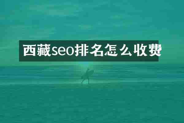 西藏seo排名怎么收费