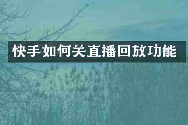 快手如何关直播回放功能