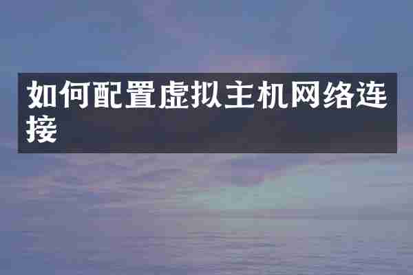 如何配置虚拟主机网络连接