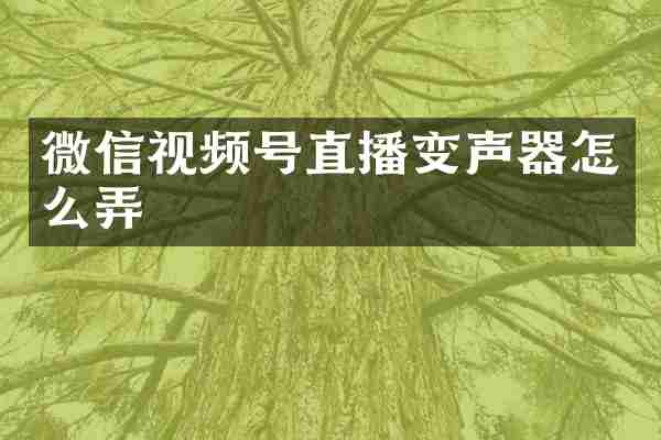 微信视频号直播变声器怎么弄