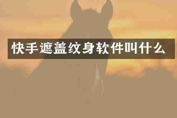 快手遮盖纹身软件叫什么