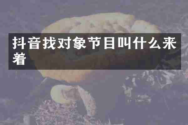 抖音找对象节目叫什么来着