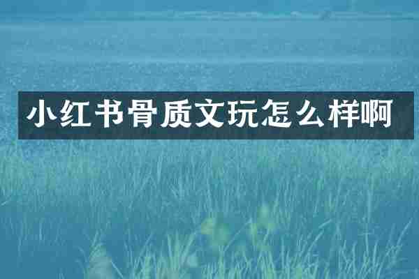 小红书骨质文玩怎么样啊