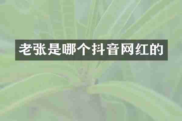 老张是哪个抖音网红的