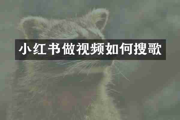 小红书做视频如何搜歌