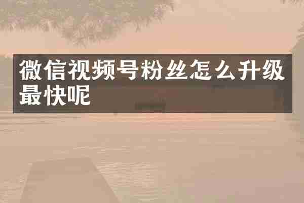 微信视频号粉丝怎么升级最快呢