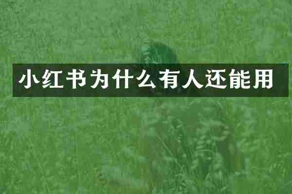 小红书为什么有人还能用