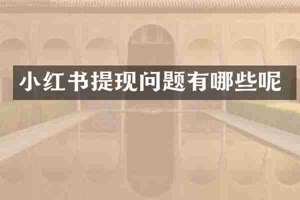 小红书提现问题有哪些呢