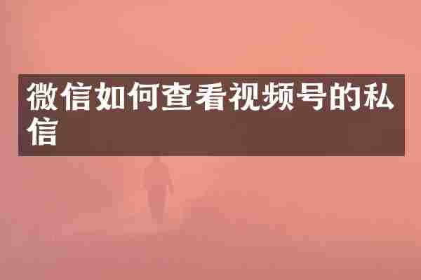 微信如何查看视频号的私信