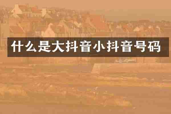 什么是大抖音小抖音号码