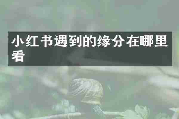 小红书遇到的缘分在哪里看