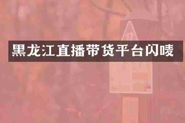 黑龙江直播带货平台闪唛