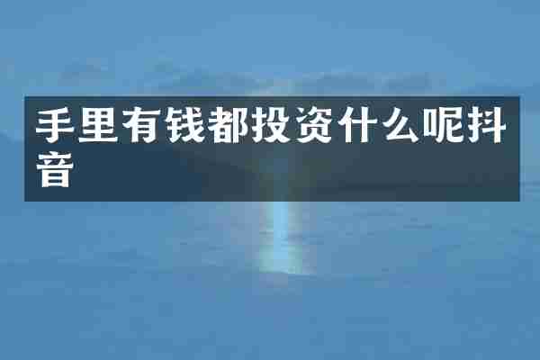 手里有钱都投资什么呢抖音