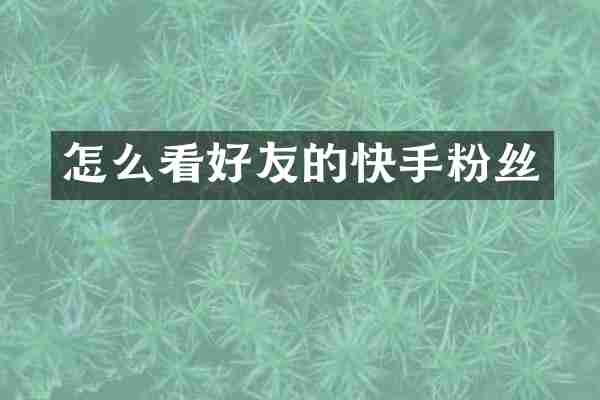 怎么看好友的快手粉丝