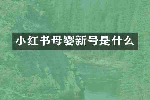 小红书母婴新号是什么