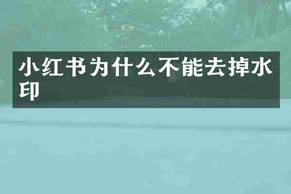 小红书为什么不能去掉水印