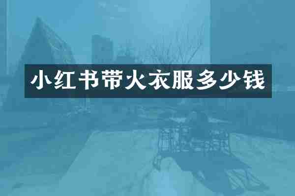 小红书带火衣服多少钱