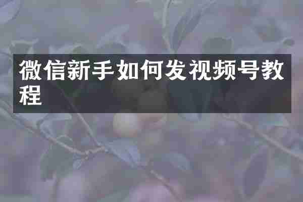 微信新手如何发视频号教程
