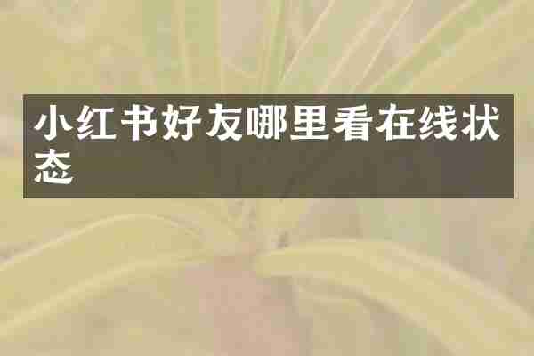 小红书好友哪里看在线状态