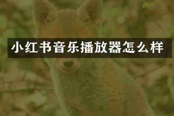 小红书音乐播放器怎么样