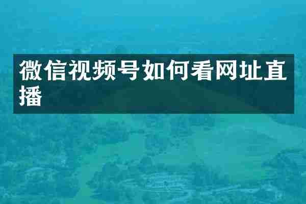 微信视频号如何看网址直播