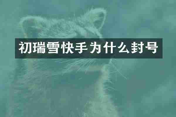 初瑞雪快手为什么封号