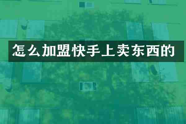 怎么加盟快手上卖东西的