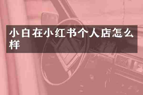 小白在小红书个人店怎么样
