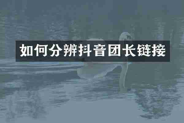 如何分辨抖音团长链接