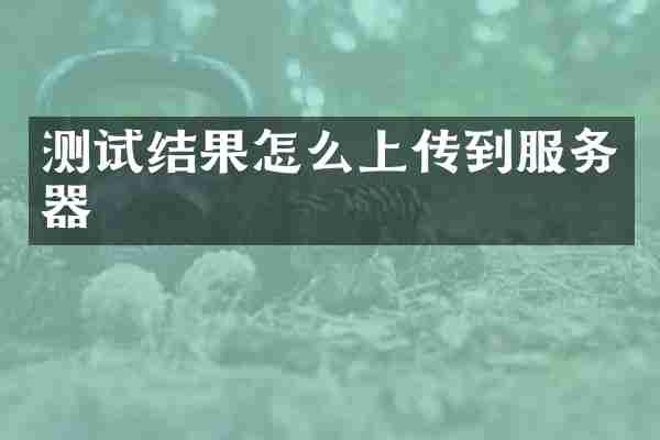 测试结果怎么上传到服务器