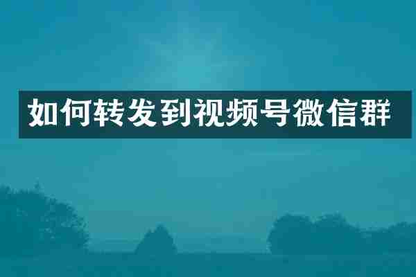 如何转发到视频号微信群
