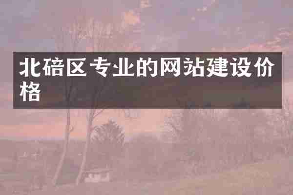 北碚区专业的网站建设价格