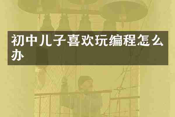 初中儿子喜欢玩编程怎么办