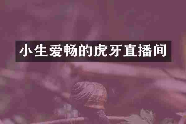 小生爱畅的虎牙直播间