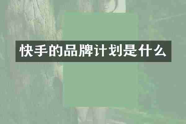 快手的品牌计划是什么